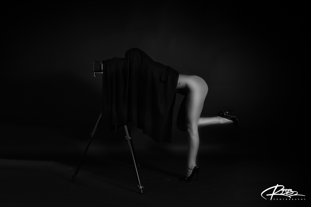 Portfolio — photo 12