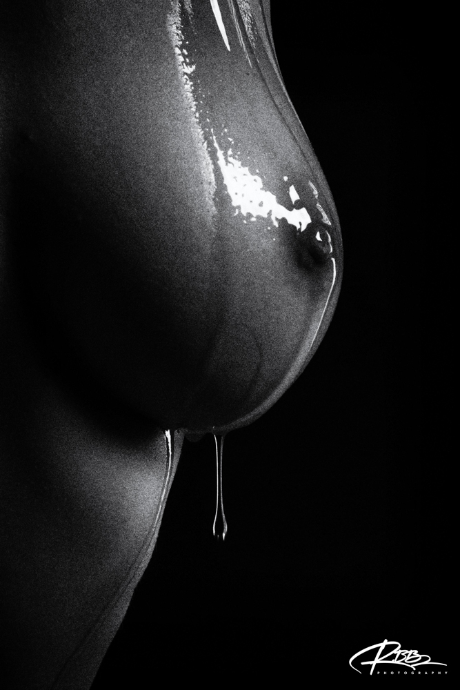 Portfolio — photo 41